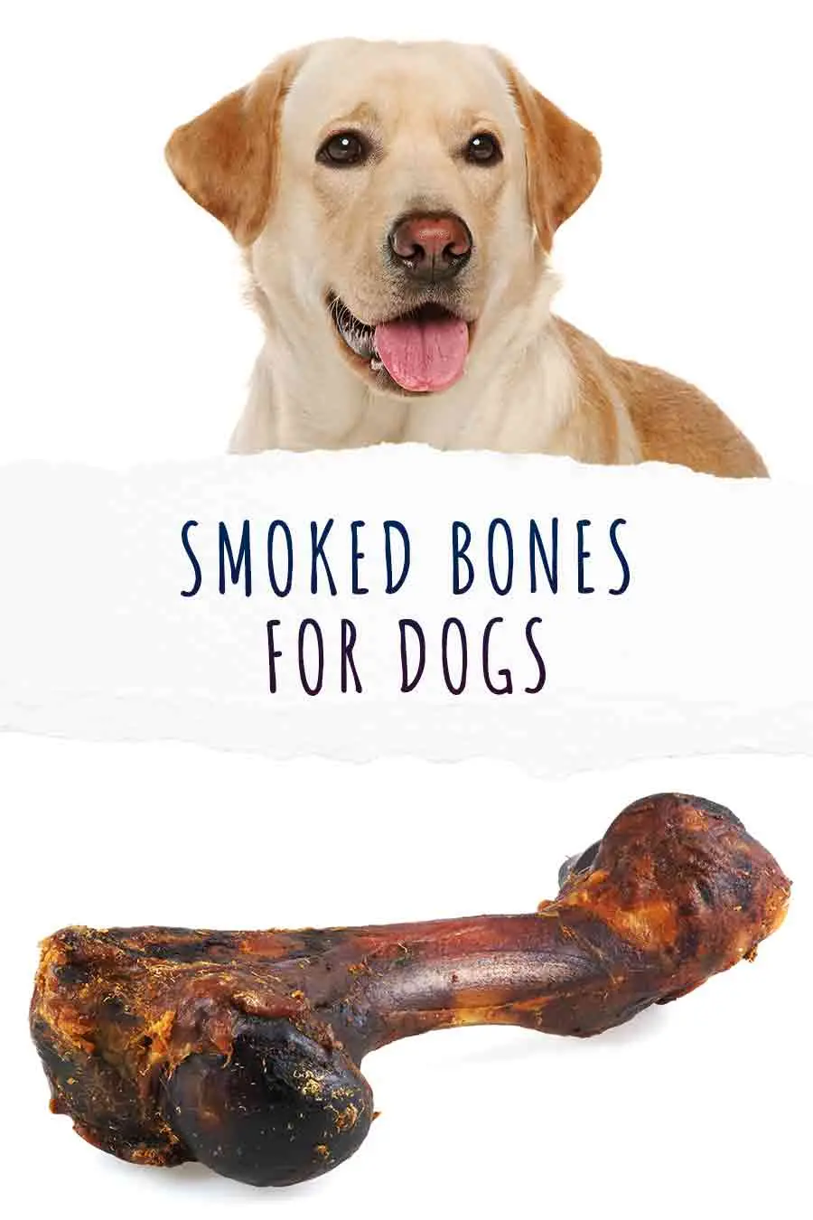 can dogs eat smoked bones - Are smoked bones from the pet store safe