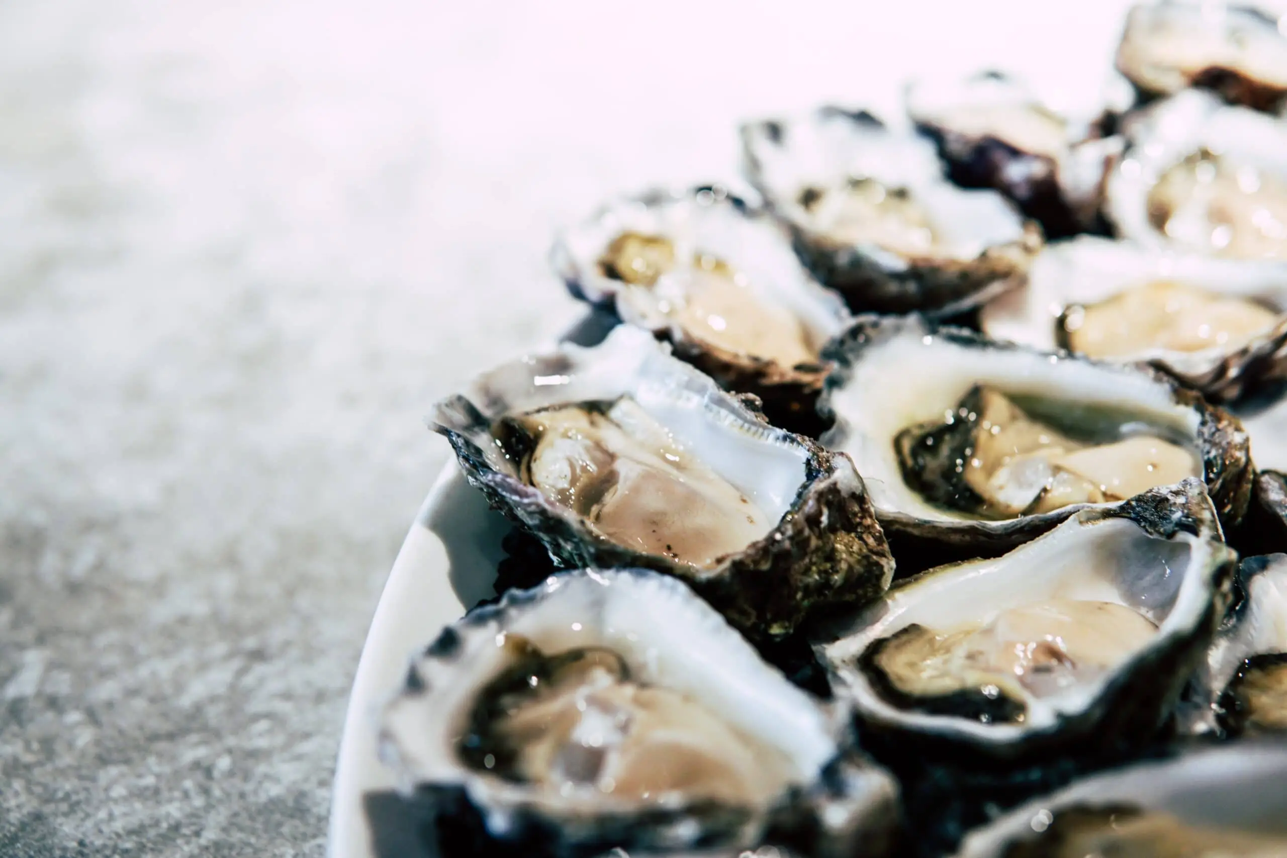 Can Cats Eat Smoked Oysters? - Can cats eat smoked mussels can cats eat smoked oysters - Can cats eat smoked mussels