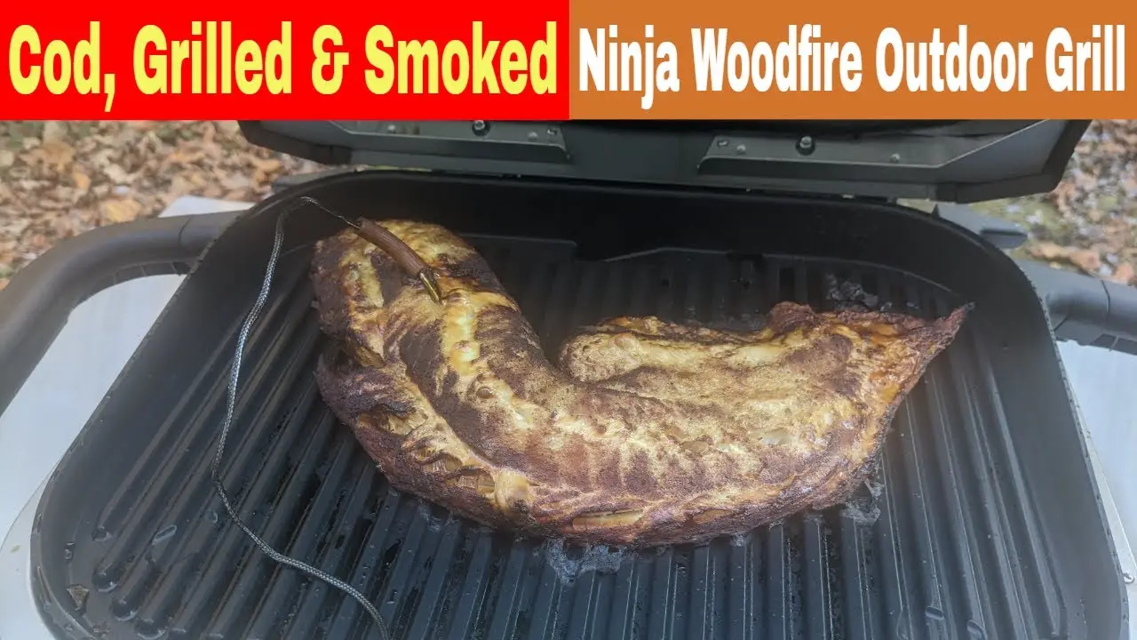 ninja woodfire smoked fish - Can I cold smoke with Ninja Woodfire