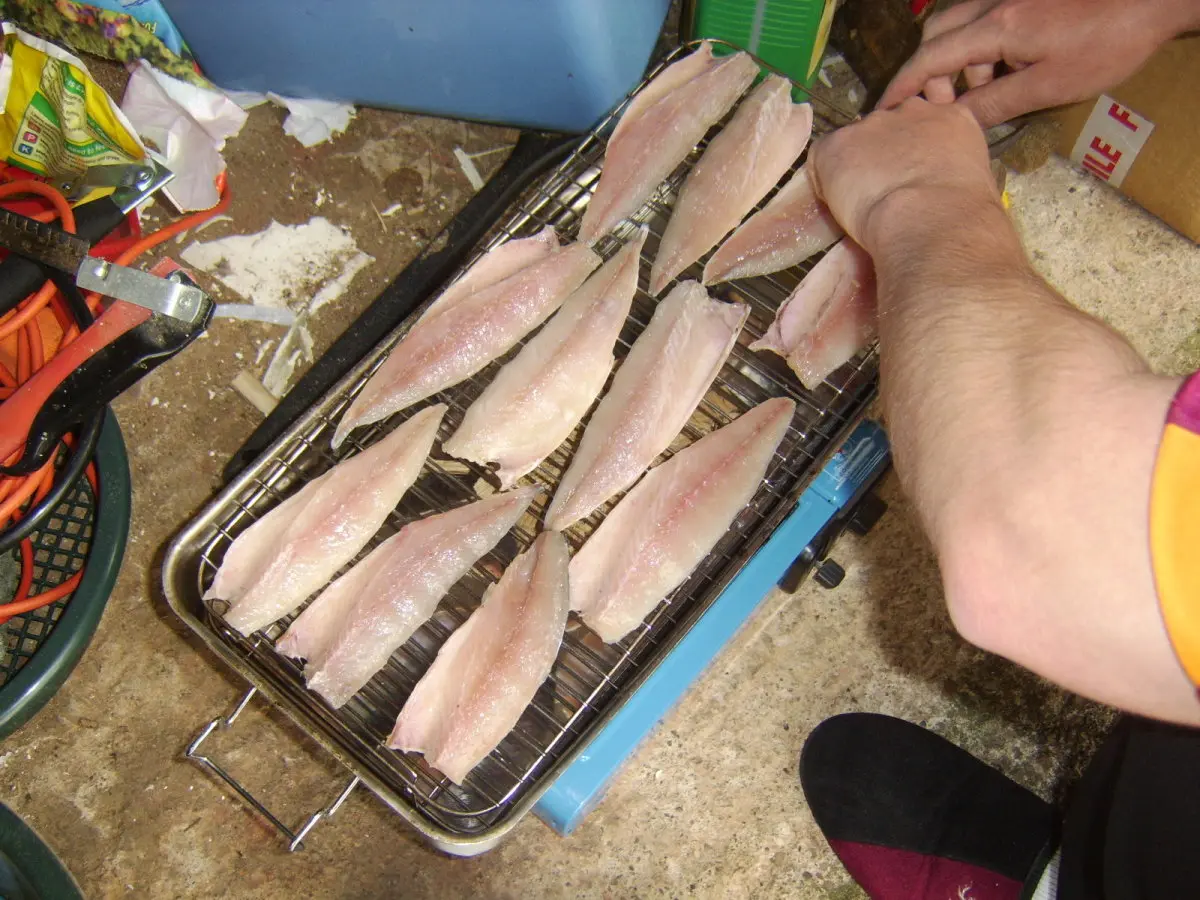 does smoked mackerel have bones - Can you get mackerel without bones