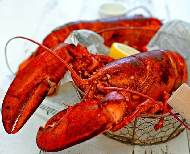 The Ultimate Guide To Smoked Whole Lobster: Grilling Perfection ...