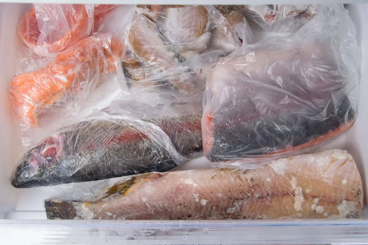 how long does smoked fish last vacuum sealed - Can you vacuum seal smoked fish