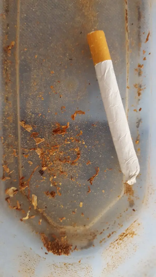 accidentally smoked cigarette filter - Do cigarette filters have toxins