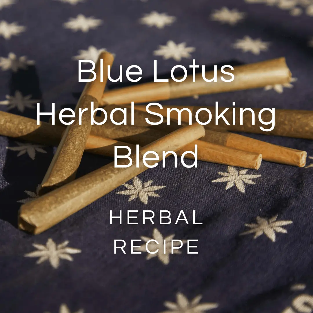 can blue lotus be smoked - Does blue lotus give you energy
