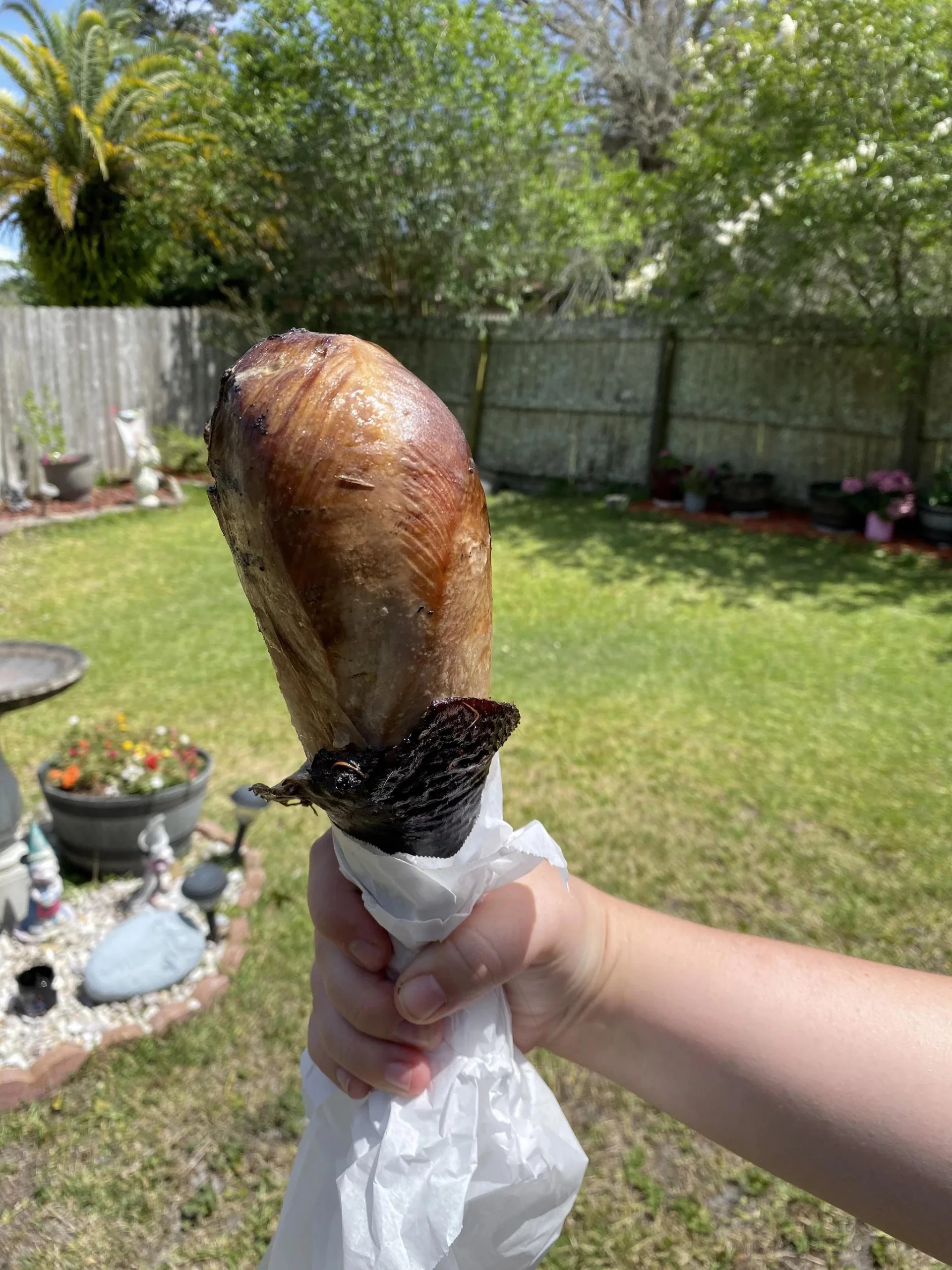Disney Smoked Turkey Legs: A Meat Lover's Delight - Does Disney World still have smoked turkey legs disney smoked turkey legs - Does Disney World still have smoked turkey legs