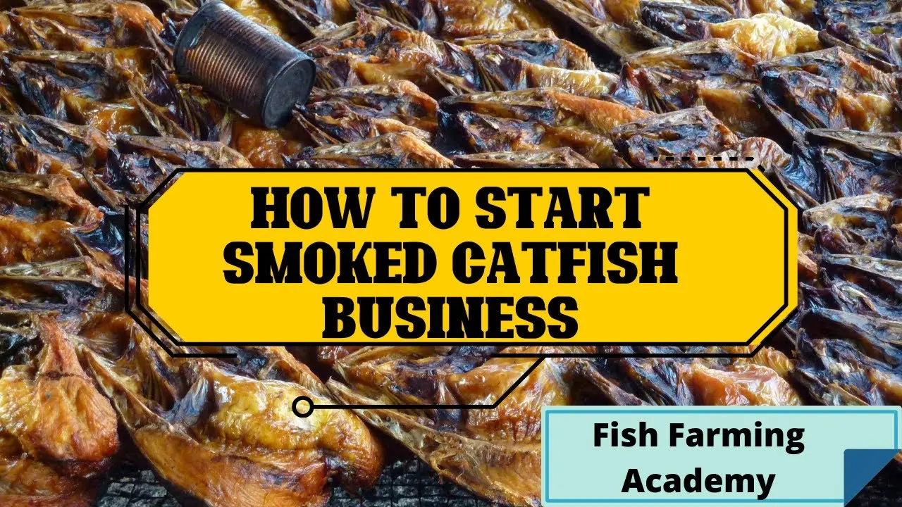 smoked catfish business in nigeria - How do you package smoked fish for sale