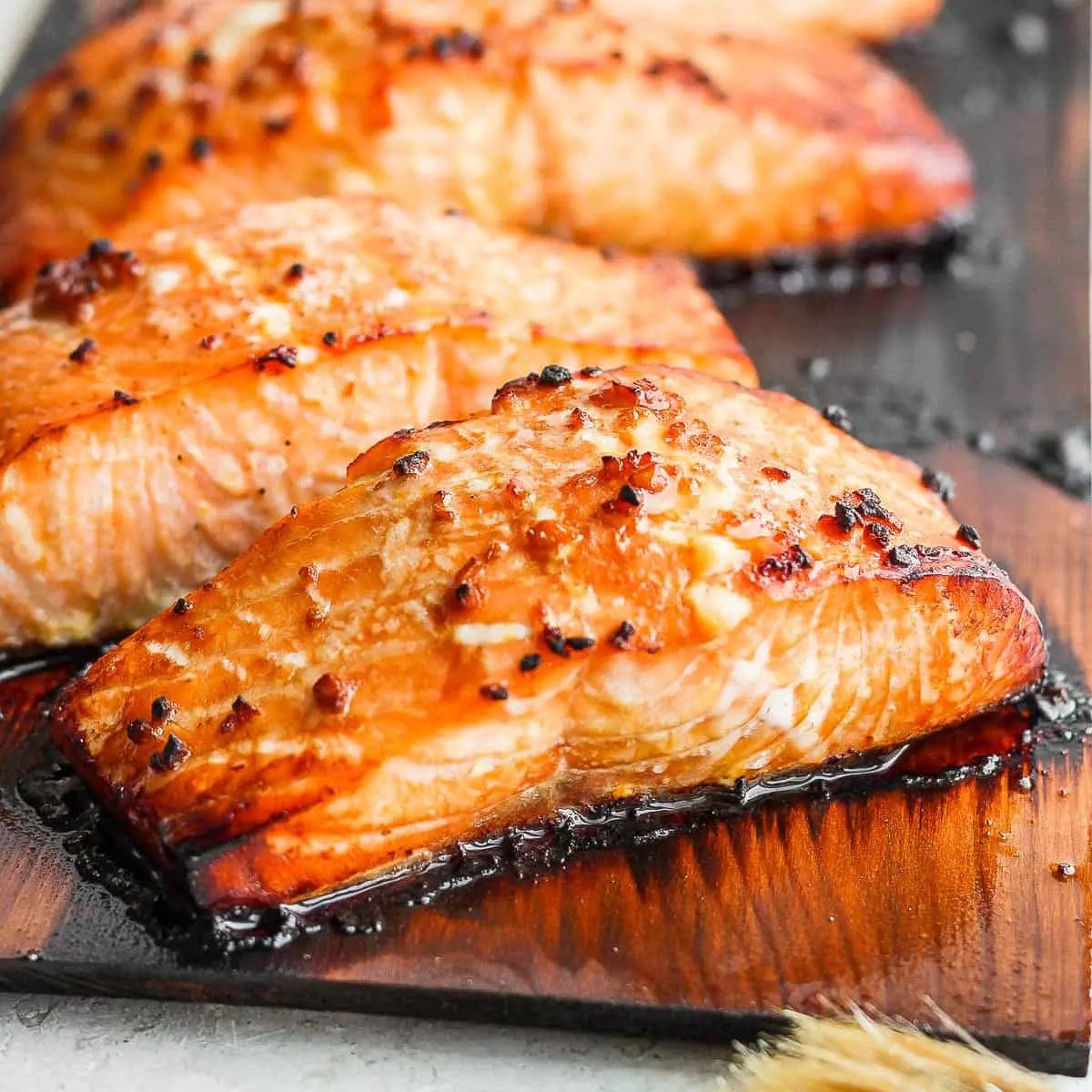 smoked salmon on wood plank - How do you smoke fish on a wooden plank
