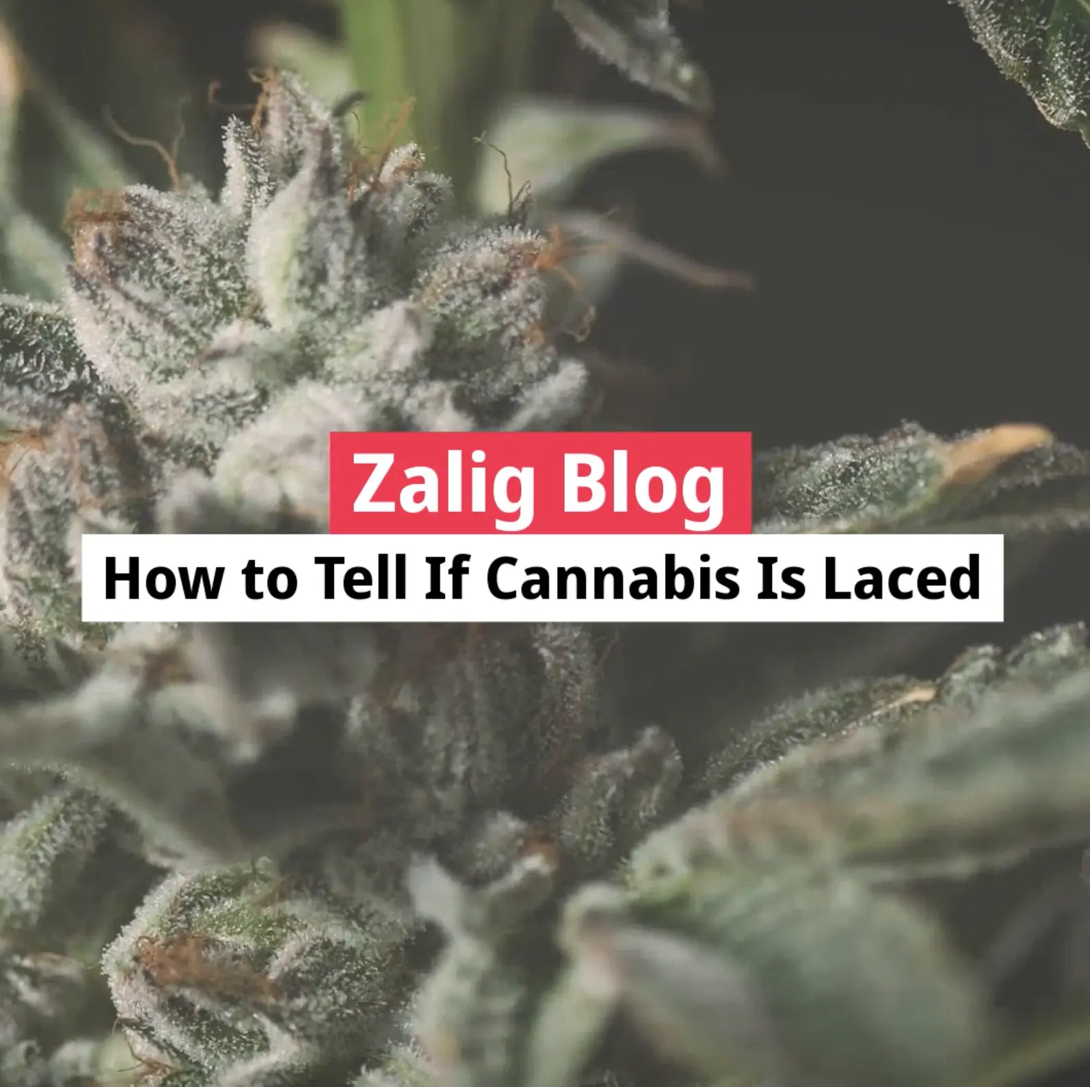 how to know if you smoked laced weed - How do you test weed to see if it's laced