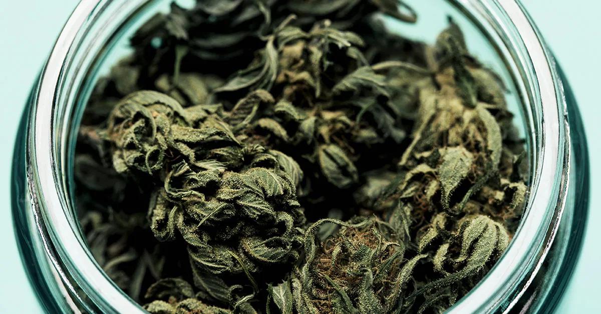 Does Hash Smell Strong When Smoked? - How long does the smoke smell last does hash smell strong when smoked - How long does the smoke smell last