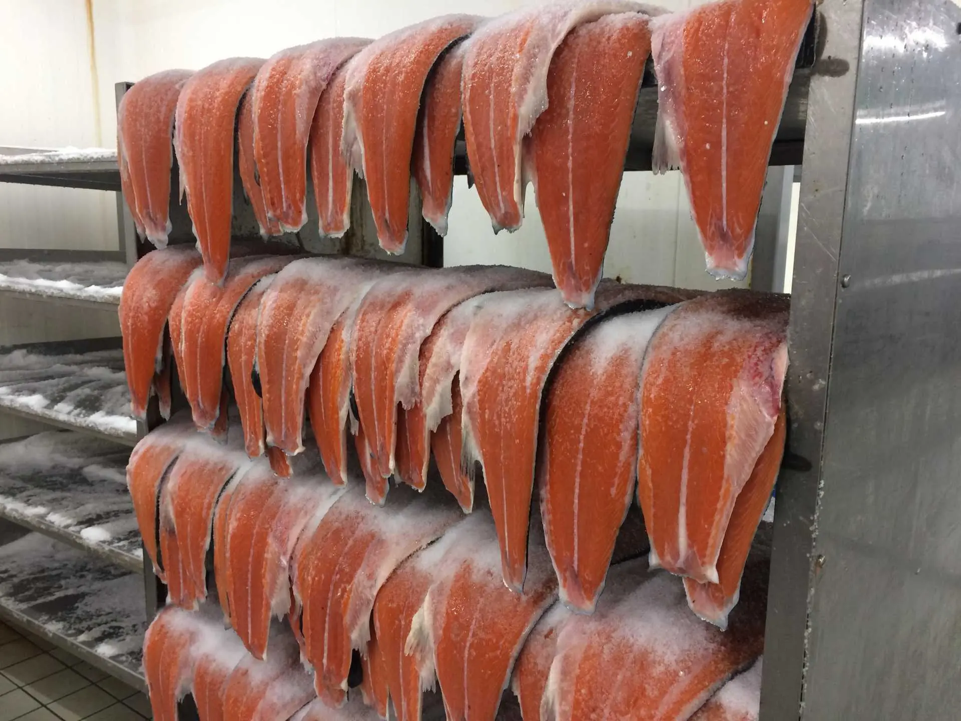 cold smoked salmon process - Is cold smoked salmon processed food