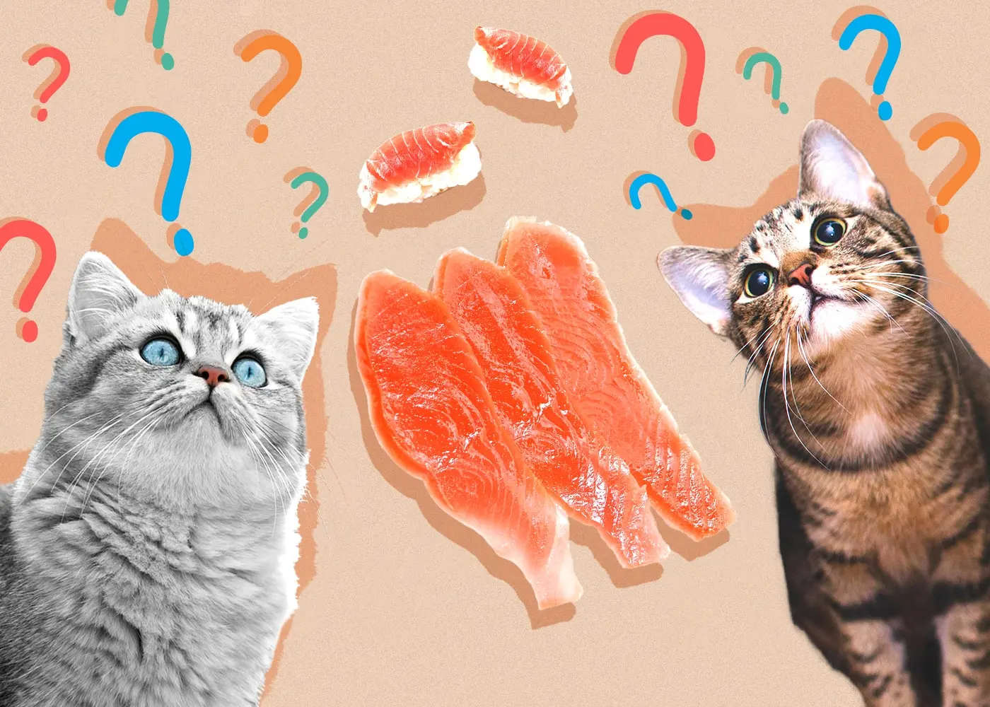 cat smoked salmon - Is it OK to give cats smoked fish
