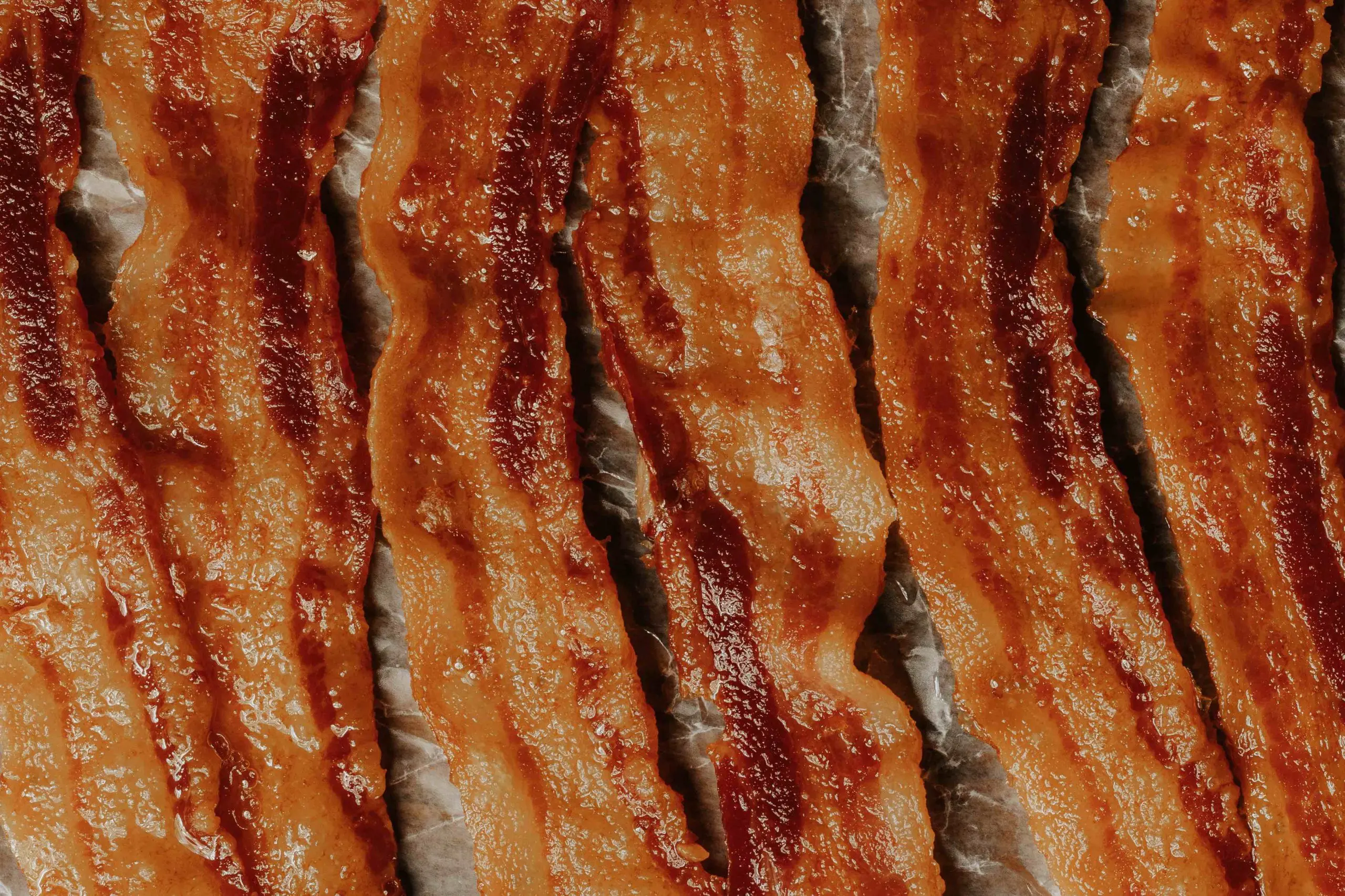 can dogs eat smoked bacon - Is it okay if a dog eats bacon