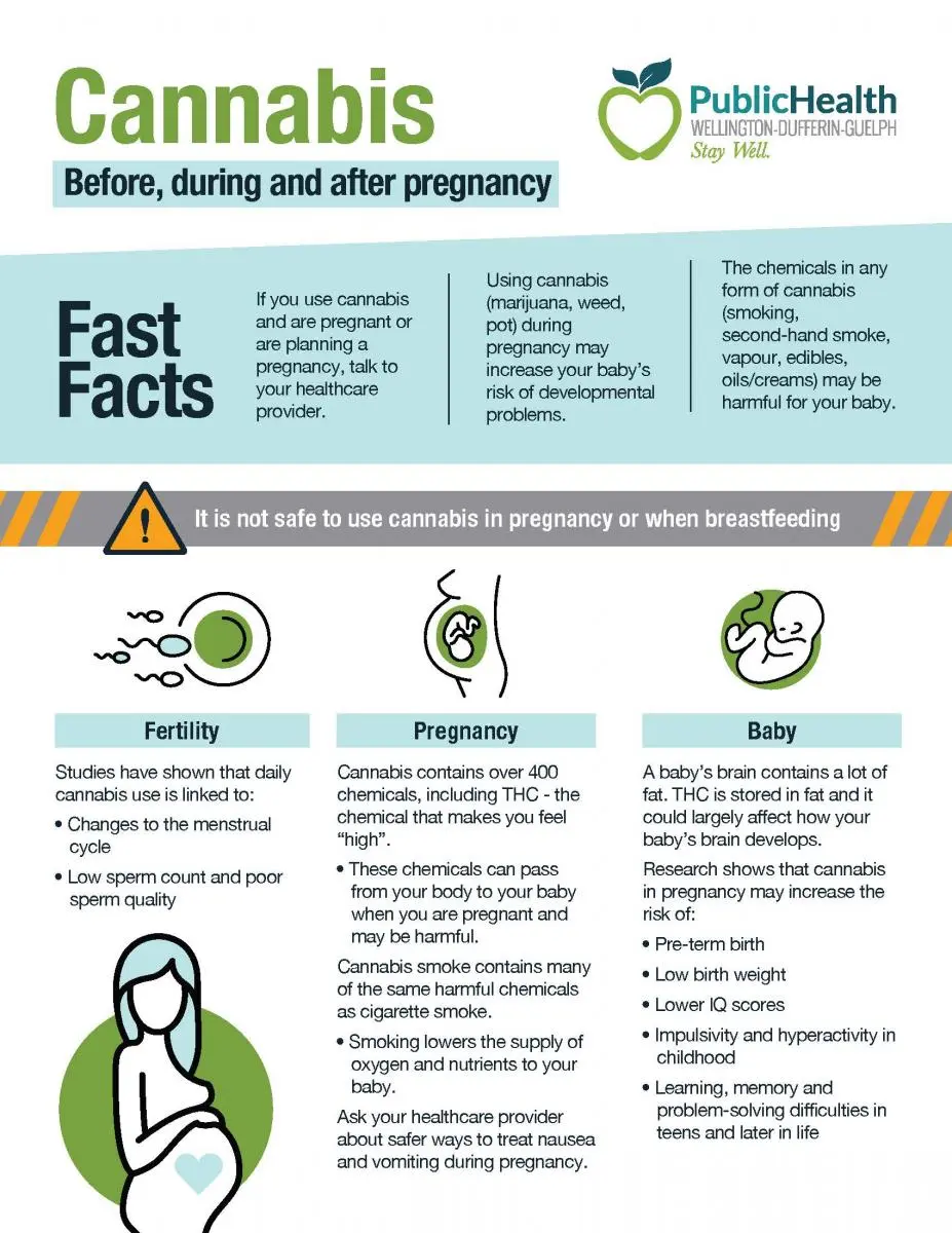 Is it Safe to Smoke Weed During Pregnancy? - Is it safe to smoke weed while pregnant in Illinois smoked weed during pregnancy - Is it safe to smoke weed while pregnant in Illinois