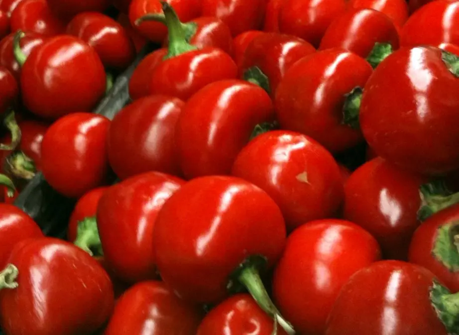 smoked pimento - Is pimento and pimenton the same thing