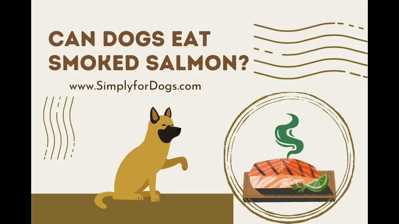 is smoked salmon ok for dogs - Is smoked salmon skin safe for dogs