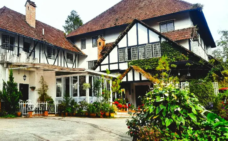 smokehouse cameron highlands history - What are some fun facts about Cameron Highlands