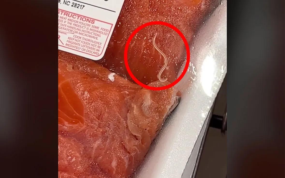 does smoked salmon have worms - What are the white dots on smoked salmon