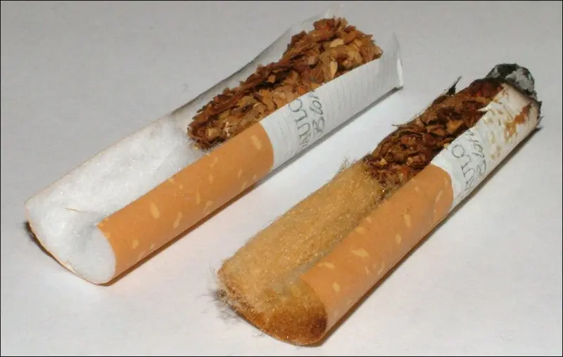 accidentally smoked cigarette filter - What dissolves cigarette filters