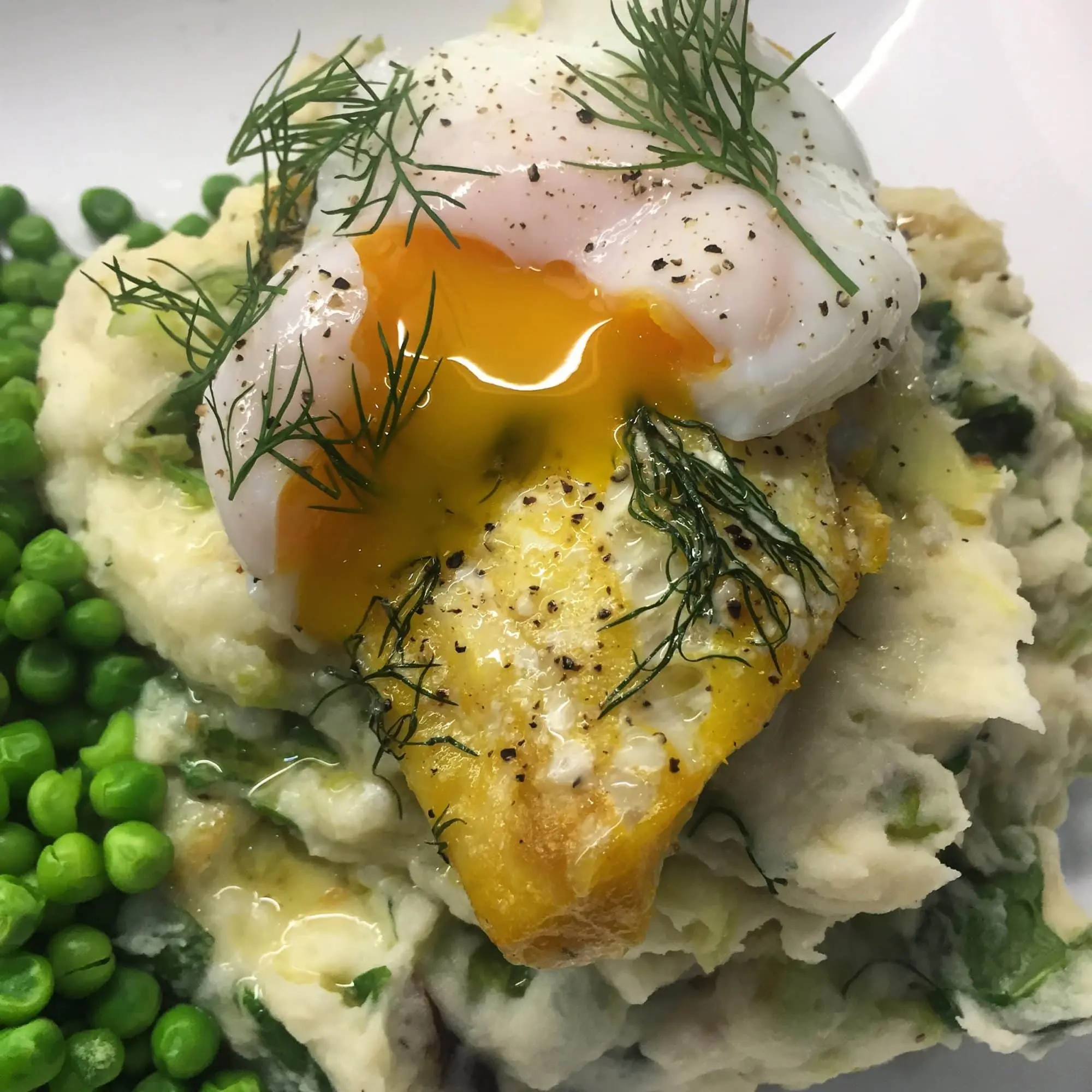 cod and smoked haddock recipes - What do cod and haddock eat