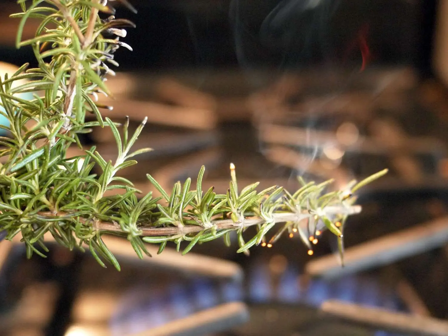 Can Rosemary Be Smoked? - What does burning rosemary do can rosemary be smoked - What does burning rosemary do