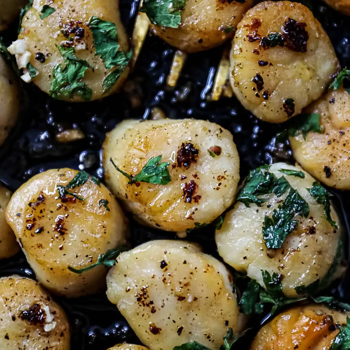 how to serve smoked scallops - What does Gordon Ramsay serve with scallops