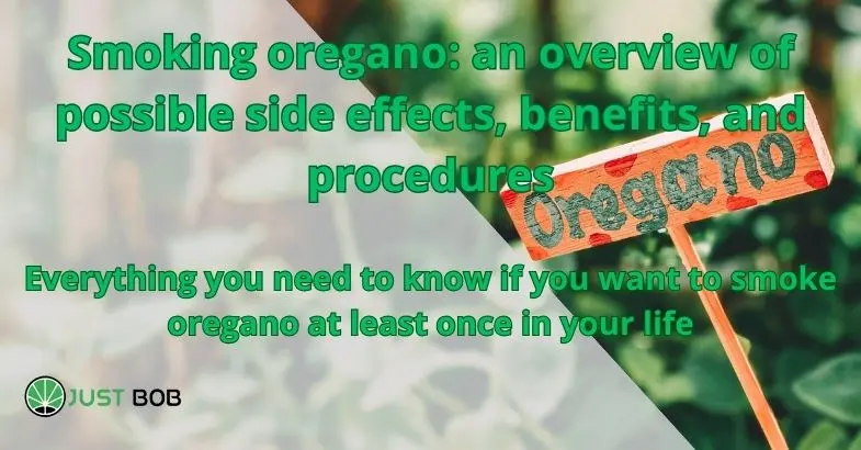 smoked oregano - What does oregano smell like