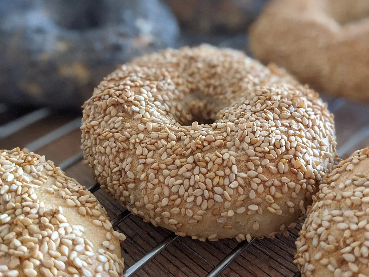 Smoked Buns: A Delicious Twist on a Classic - What is bagel bun smoked buns - What is bagel bun