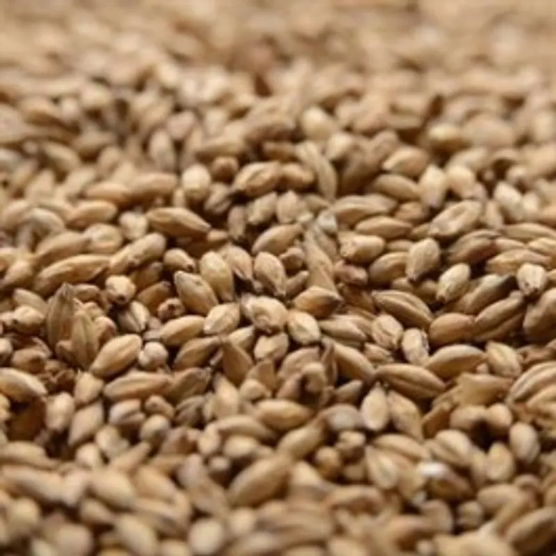 peat smoked barley - What is peated barley