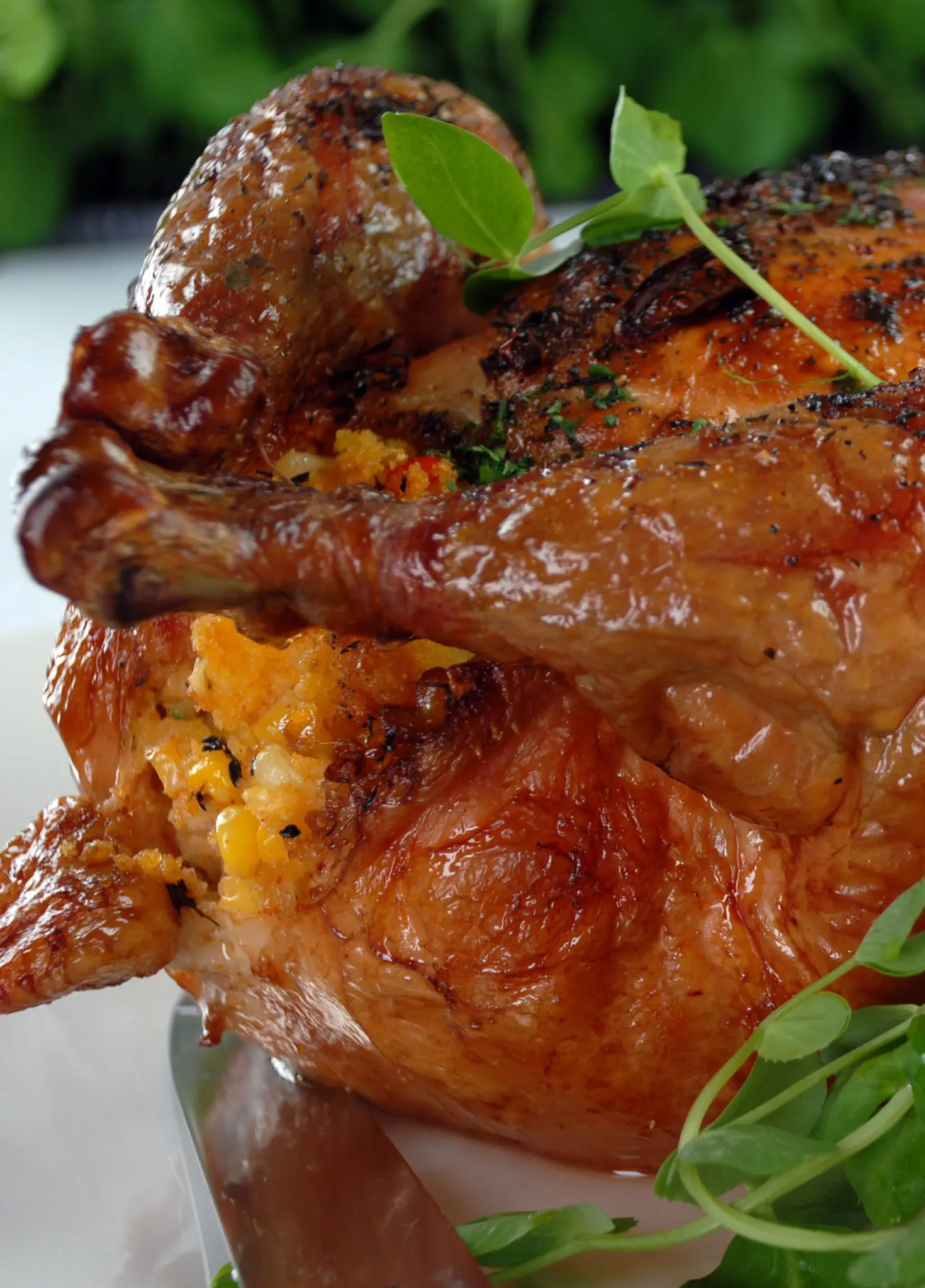 smoked capon - What is the difference between a chicken and a capon