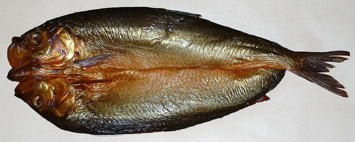 what is a smoked kipper - What is the difference between smoked and kippered