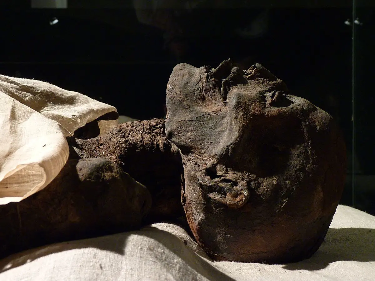 smoked mummy - What is the oldest preserved mummy