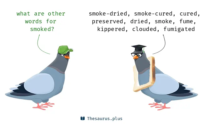 smoked synonym - What is the synonym of smoker