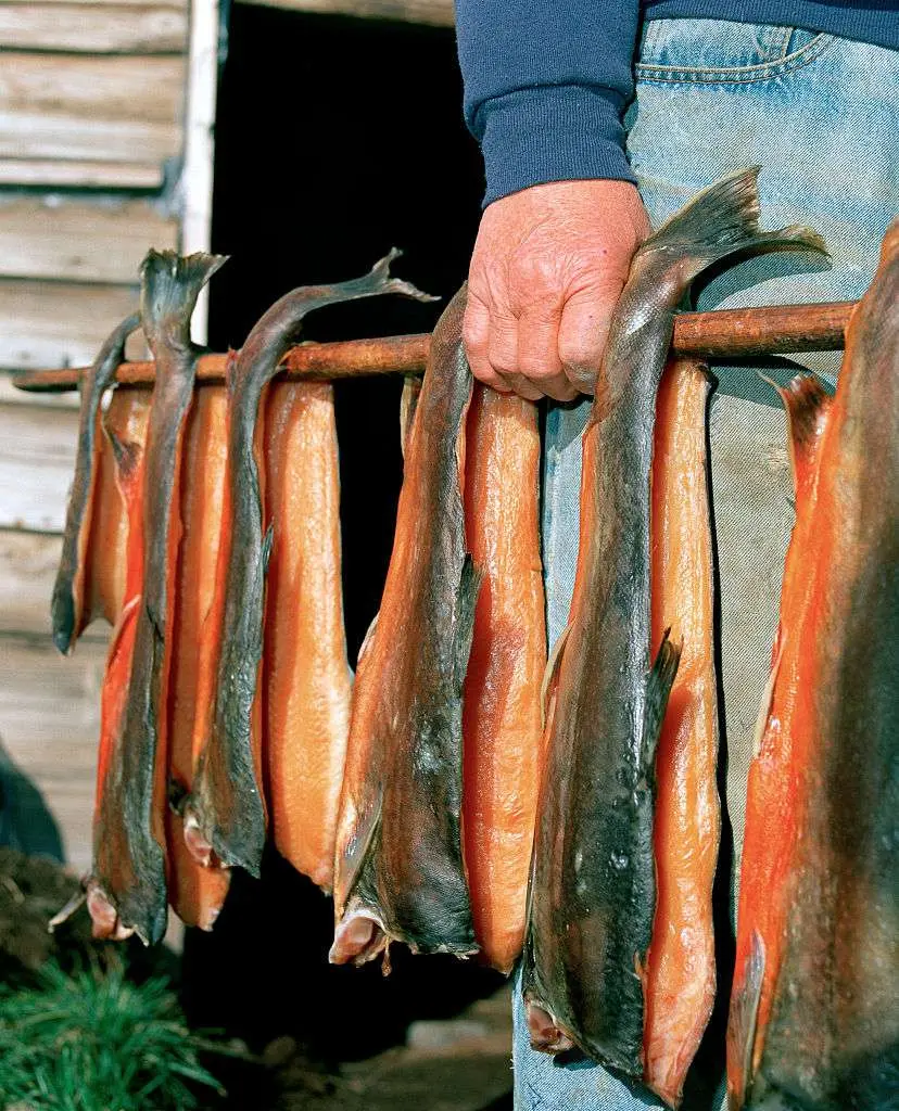 iceland smoked fish - What is the white fish in Iceland