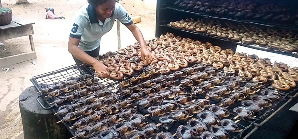 Nigerian Smoked Fish: A Delicacy with Rich Flavors - What kind of fish are in Nigeria nigerian smoked fish - What kind of fish are in Nigeria