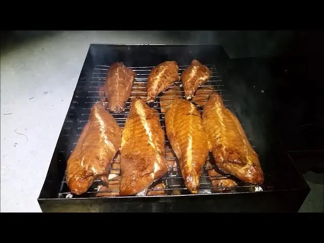 smoked mackerel nz - What kind of mackerel are in New Zealand