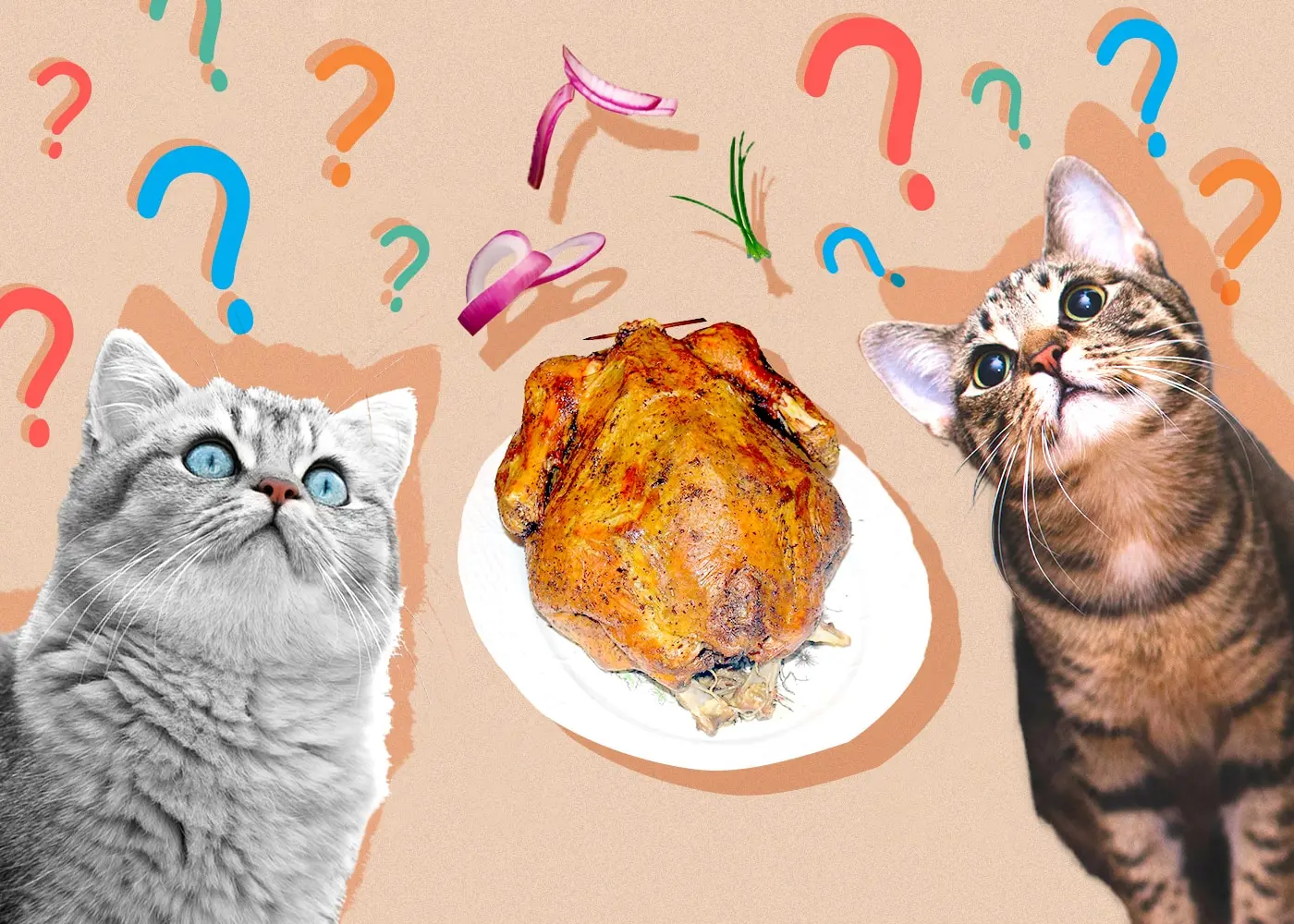 can cats eat smoked turkey - What parts of a turkey can cats eat