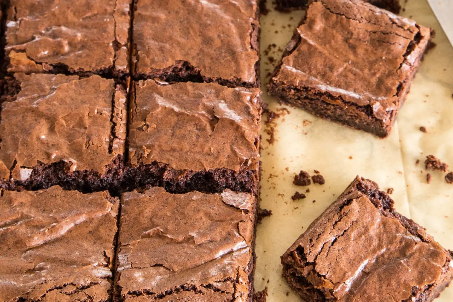 smoked brownie - What's the difference between chocolate brownies and cocoa brownies