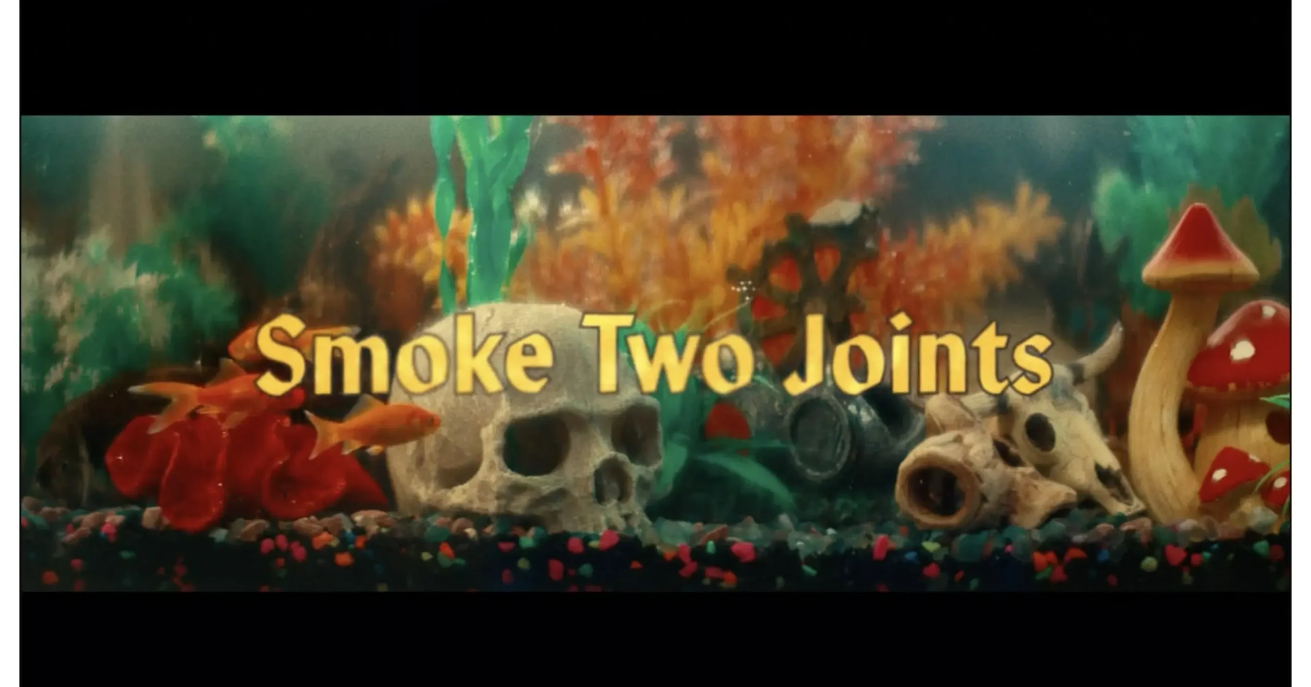 i smoked two joints - Who are the actors in the Smoke Two Joints video