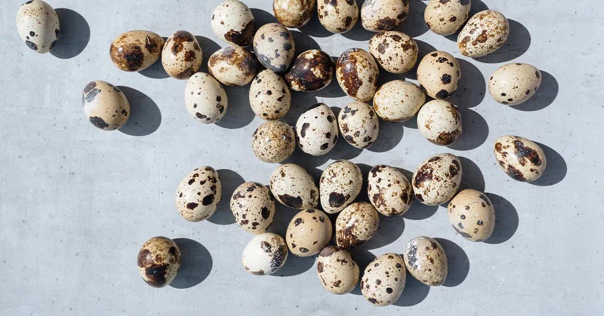 smoked quail eggs - Why are quail eggs so special