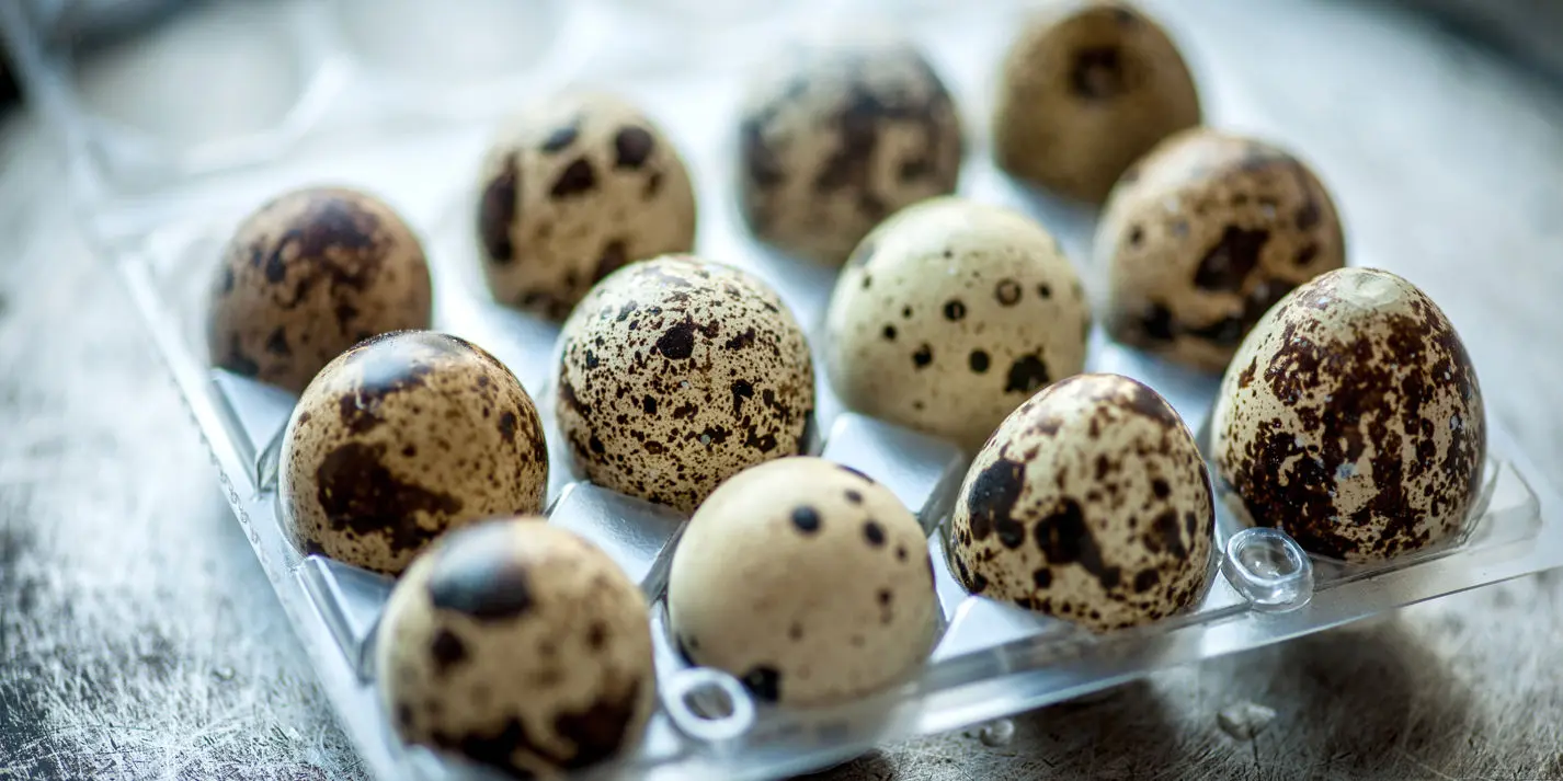 smoked salmon and quails eggs - Why do chefs use quail eggs